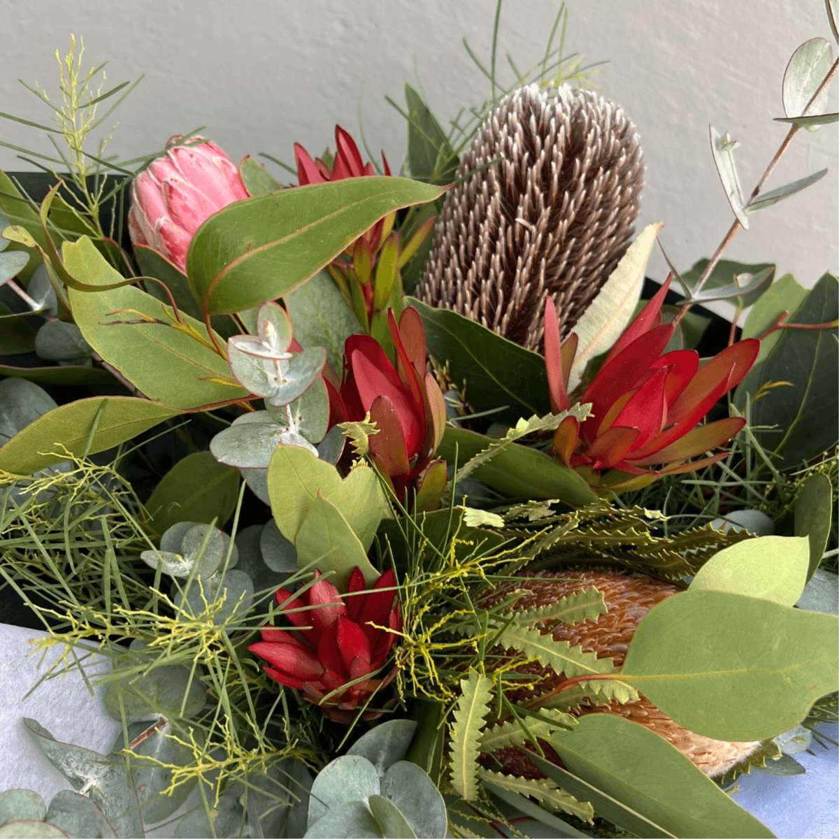 Natives & Wildflowers - ROSE & CO