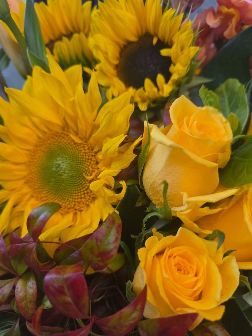 Ray of Sunshine (inc Vase) - ROSE & CO