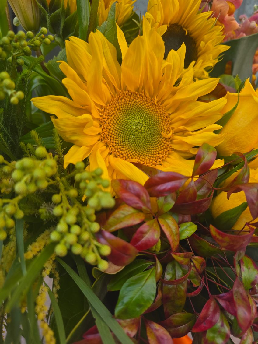 Ray of Sunshine (inc Vase) - ROSE & CO