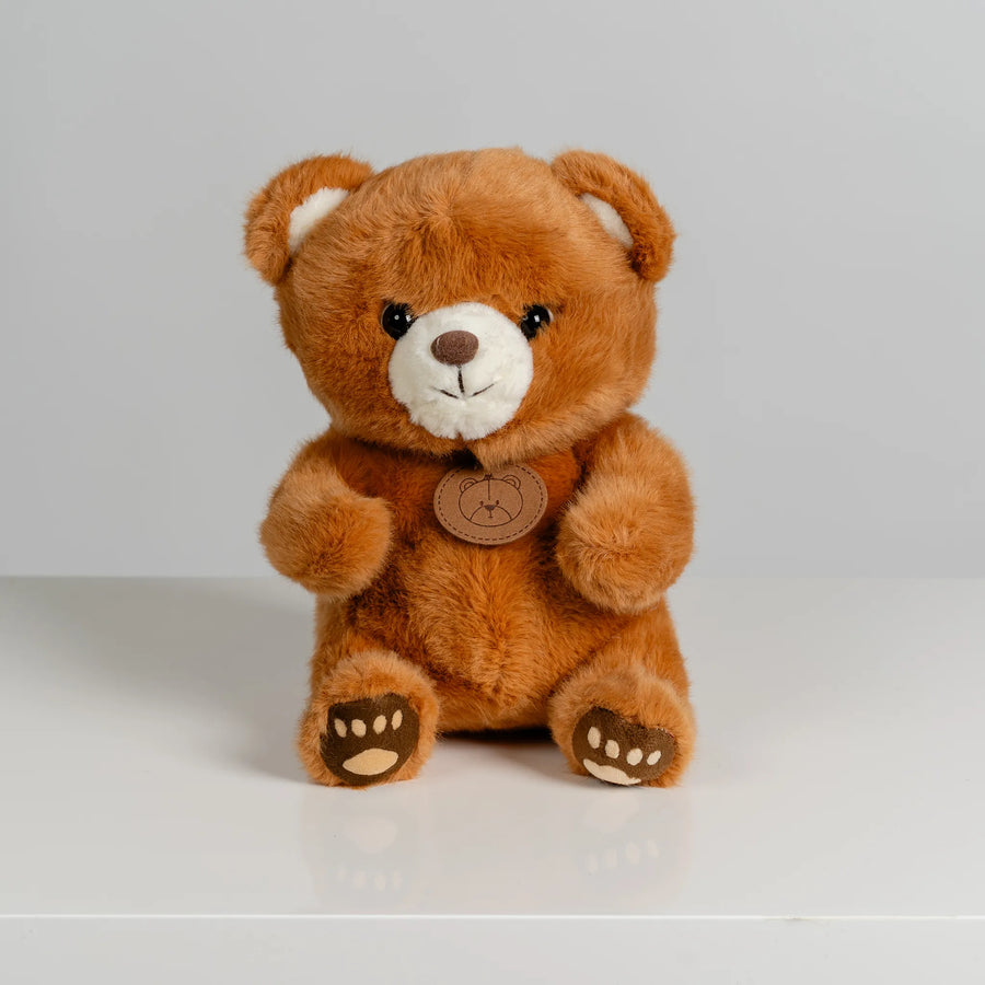 Brown Bear with Paw Prints 22cm
