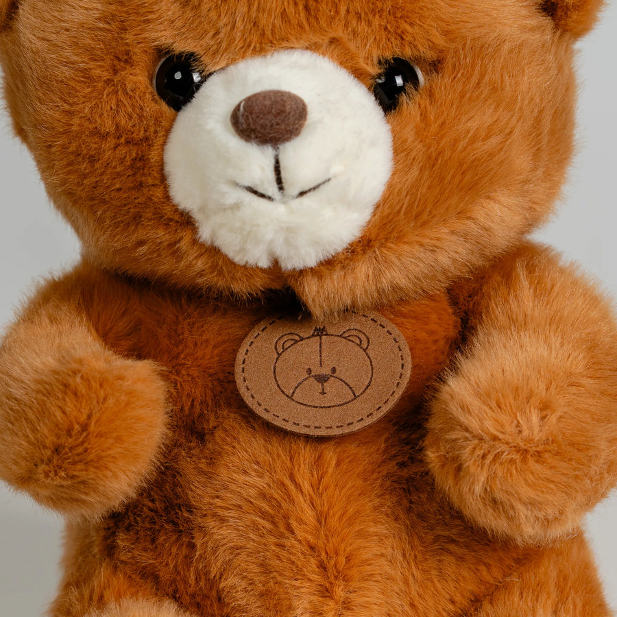 Brown Bear with Paw Prints 22cm