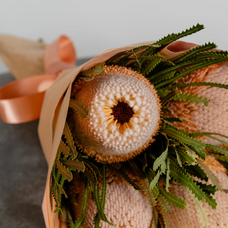 Banksia by the bunch