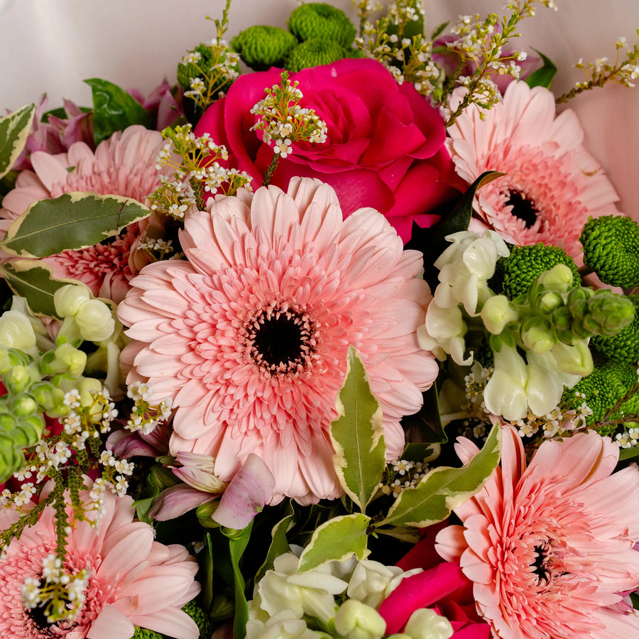 Seasonal Bunch