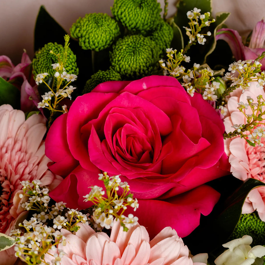 Seasonal Bunch