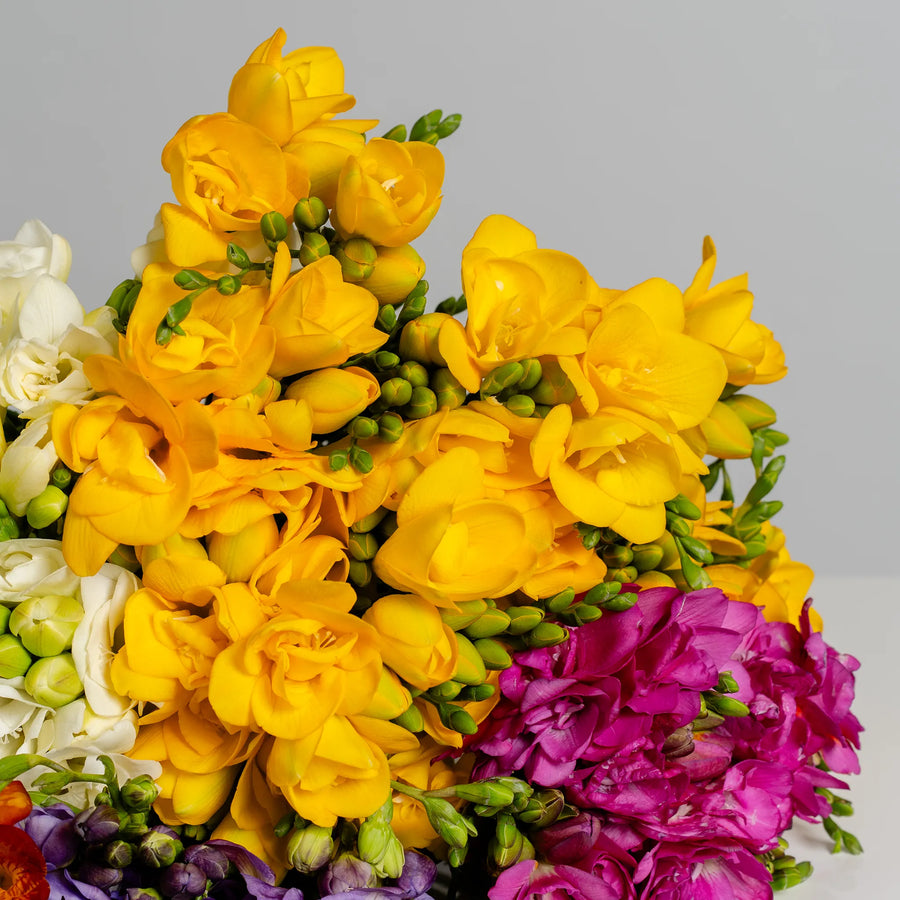 Freesia Affair