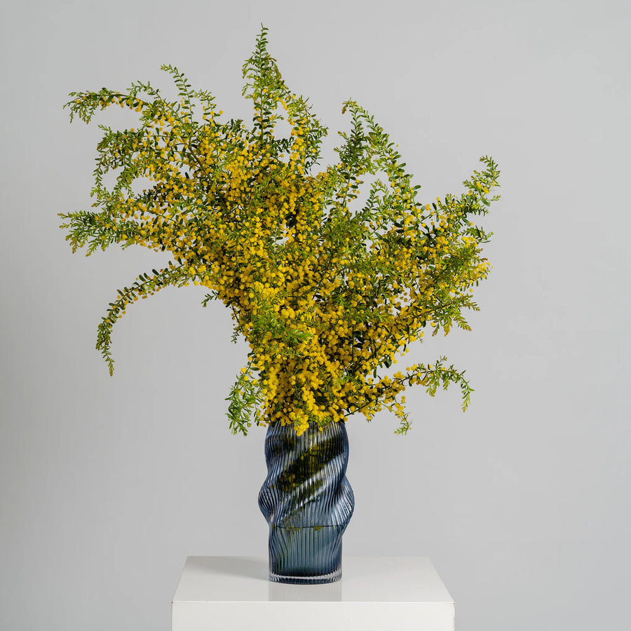 Golden Wattle