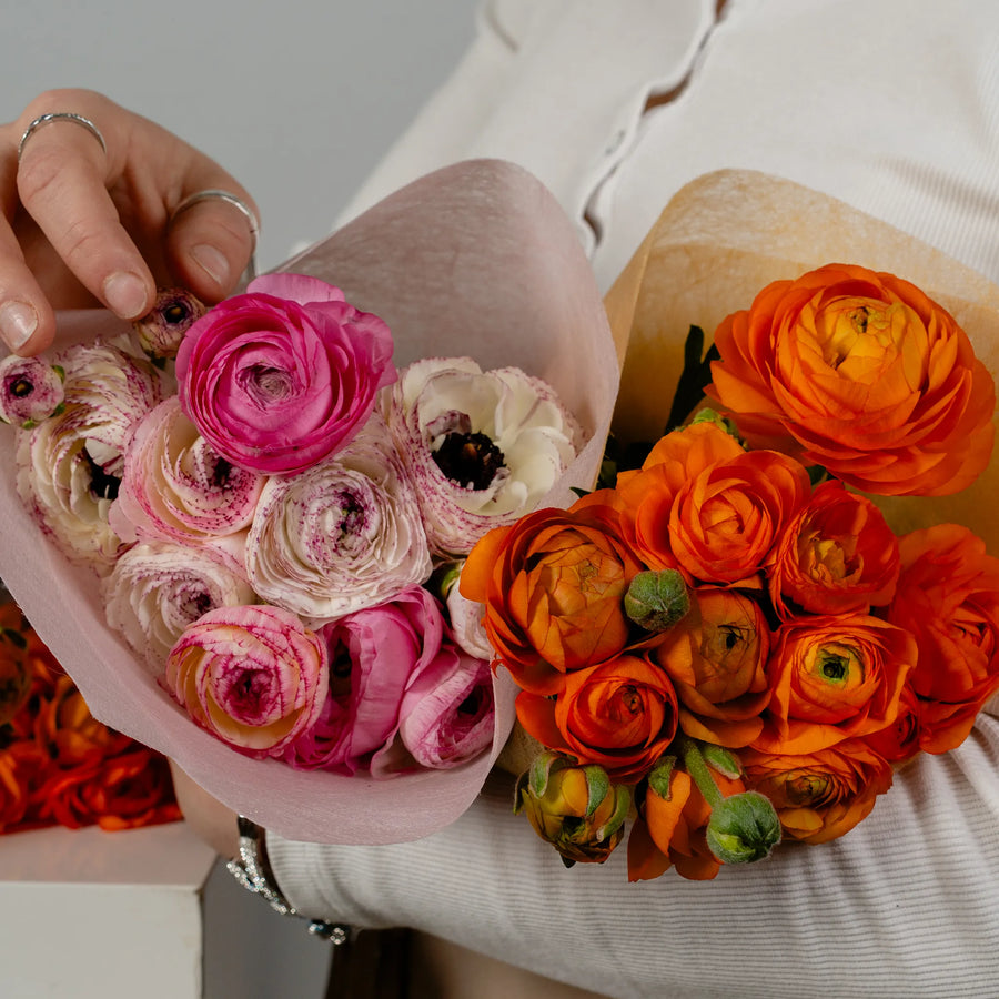Ranunculus Reverie