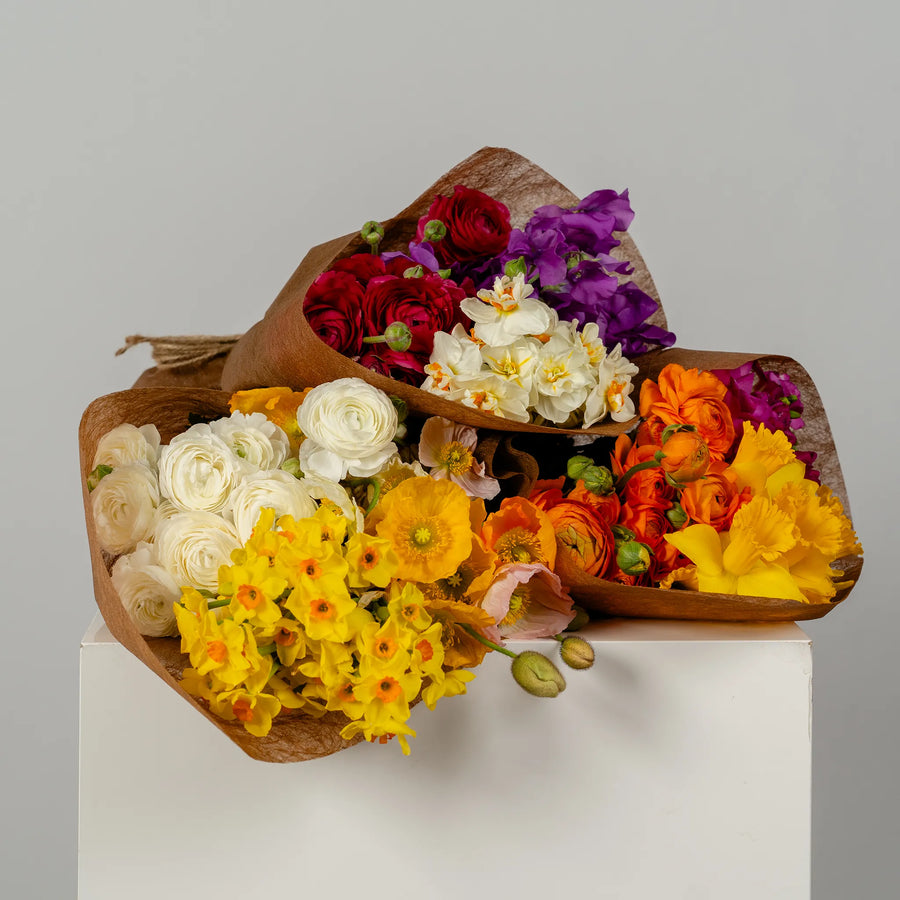 Spring Selection