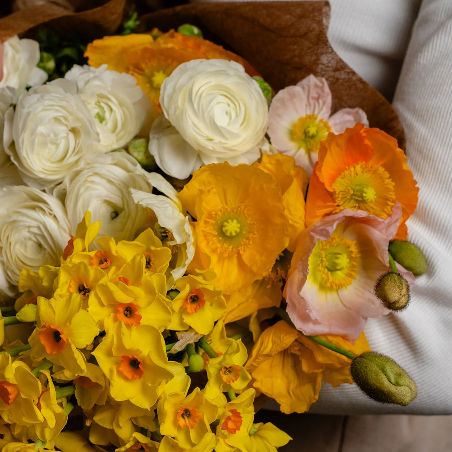 Spring Selection