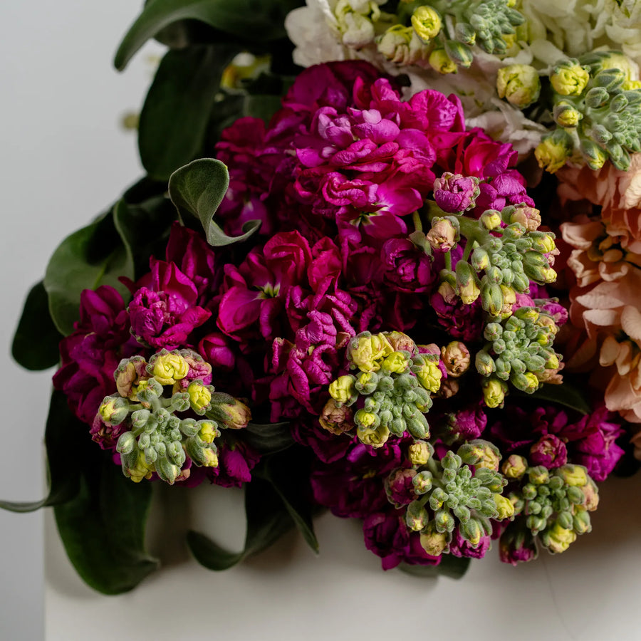 Stock in Bloom