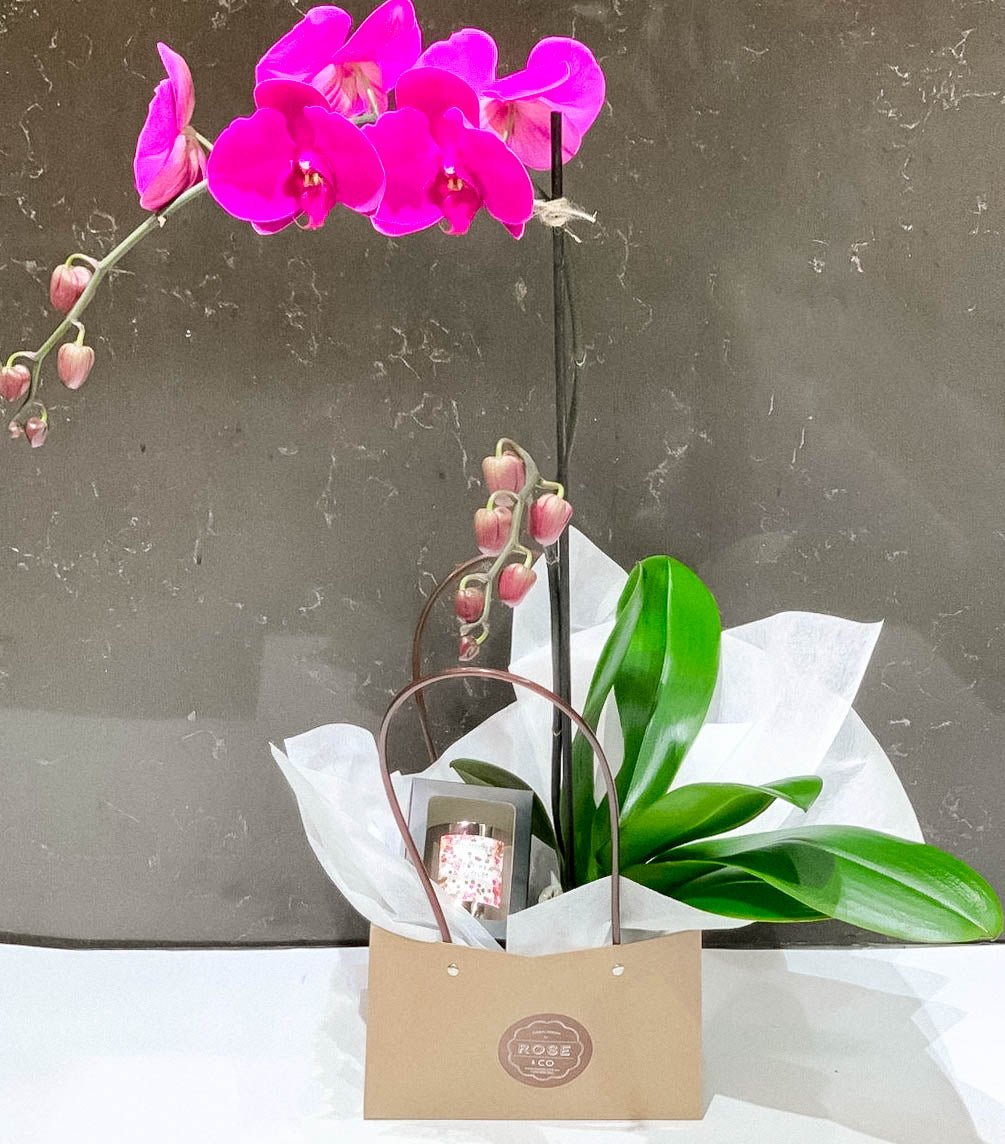 Orchid gift bag with Candle - ROSE & CO
