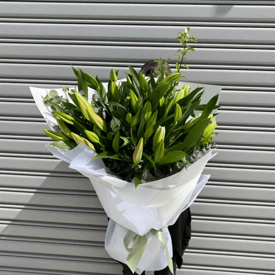 Simply Lilies - ROSE & CO