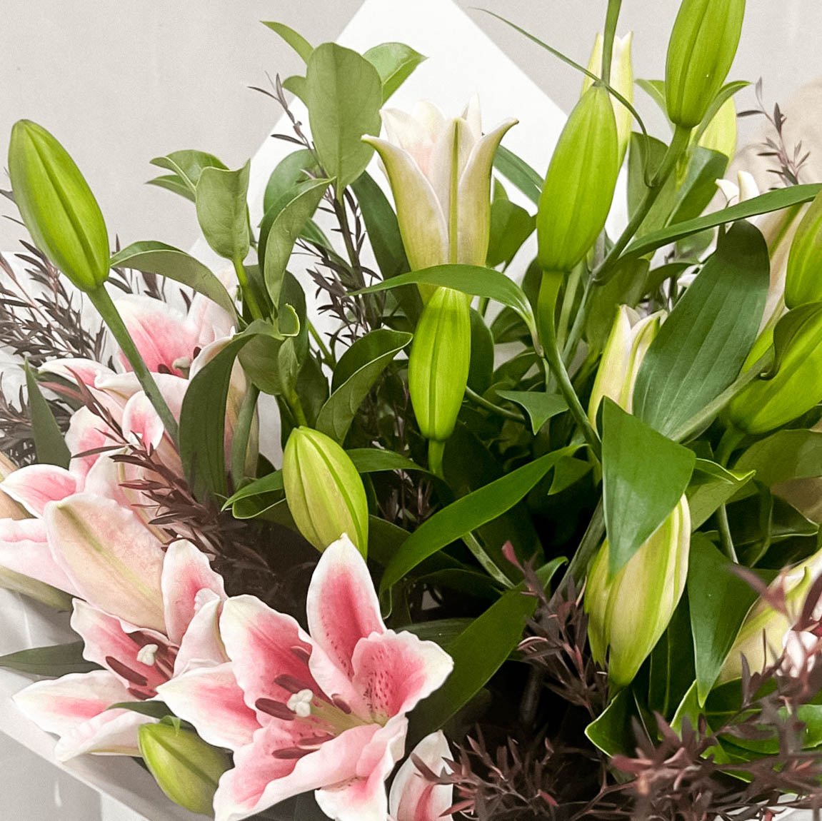 Simply Lilies - ROSE & CO