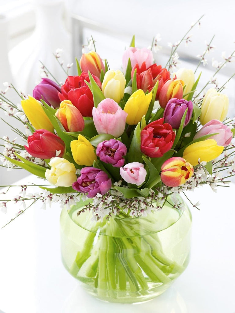 5 Interesting Facts about Tulips