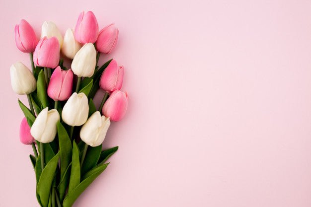 5 Reasons Why Flowers Are an Ideal Gift For Any Event