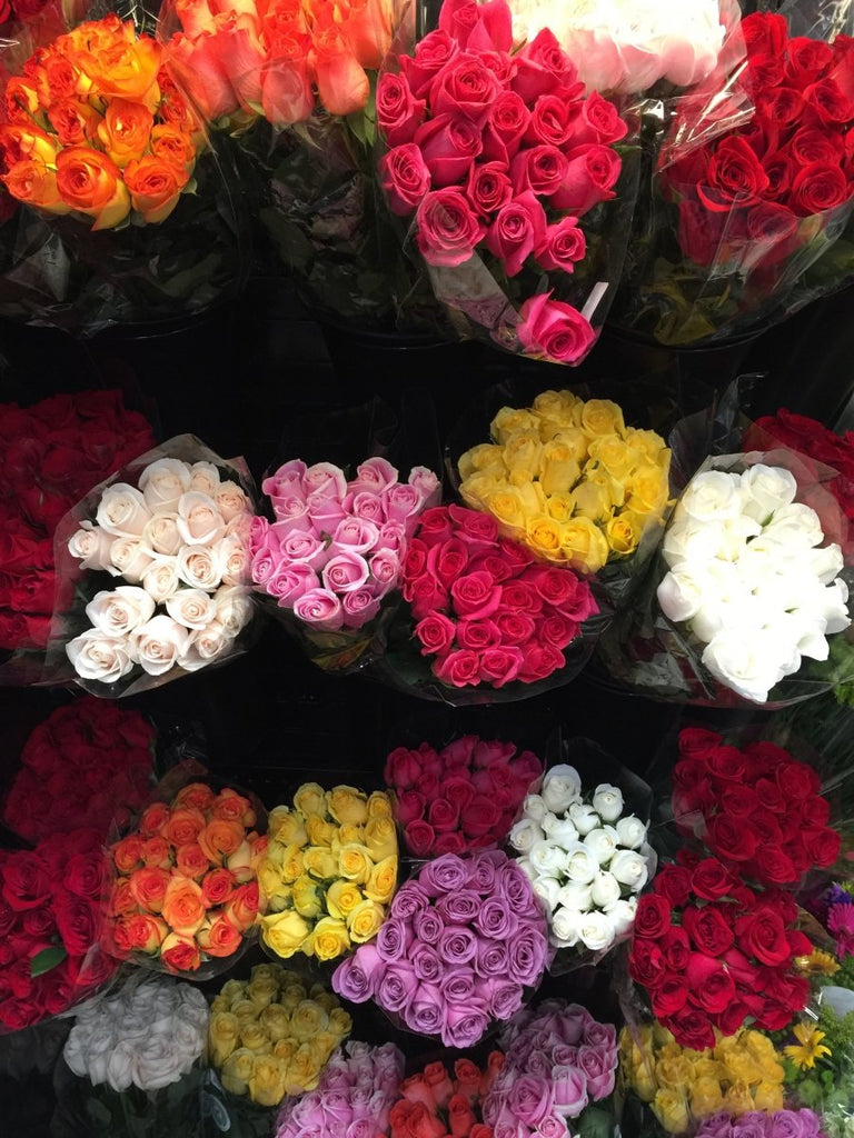 A Journey Through` Flowers in Penrith: From Roses to Orchids