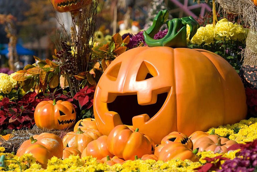 Mystical Night: Enchanting Halloween Florals