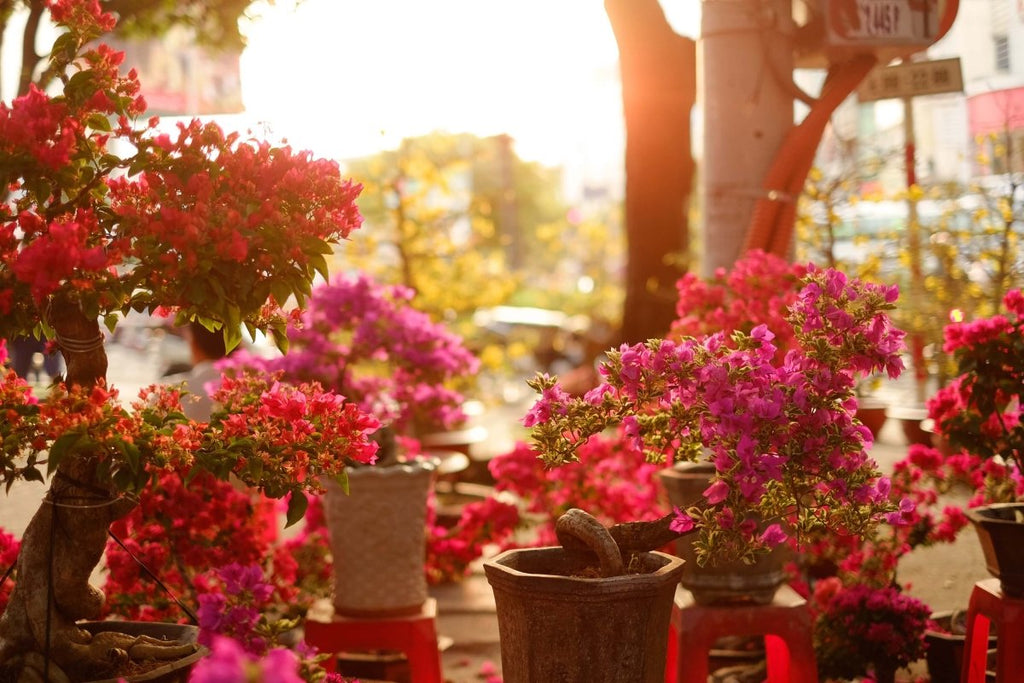 Top 5 Ways to Celebrate the New Year 2022 with Flowers