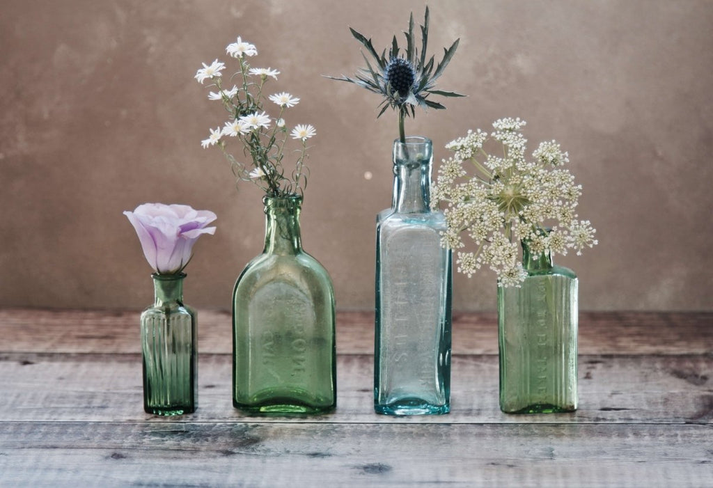 Top 6 Most Expensive Flowers on Our Planet