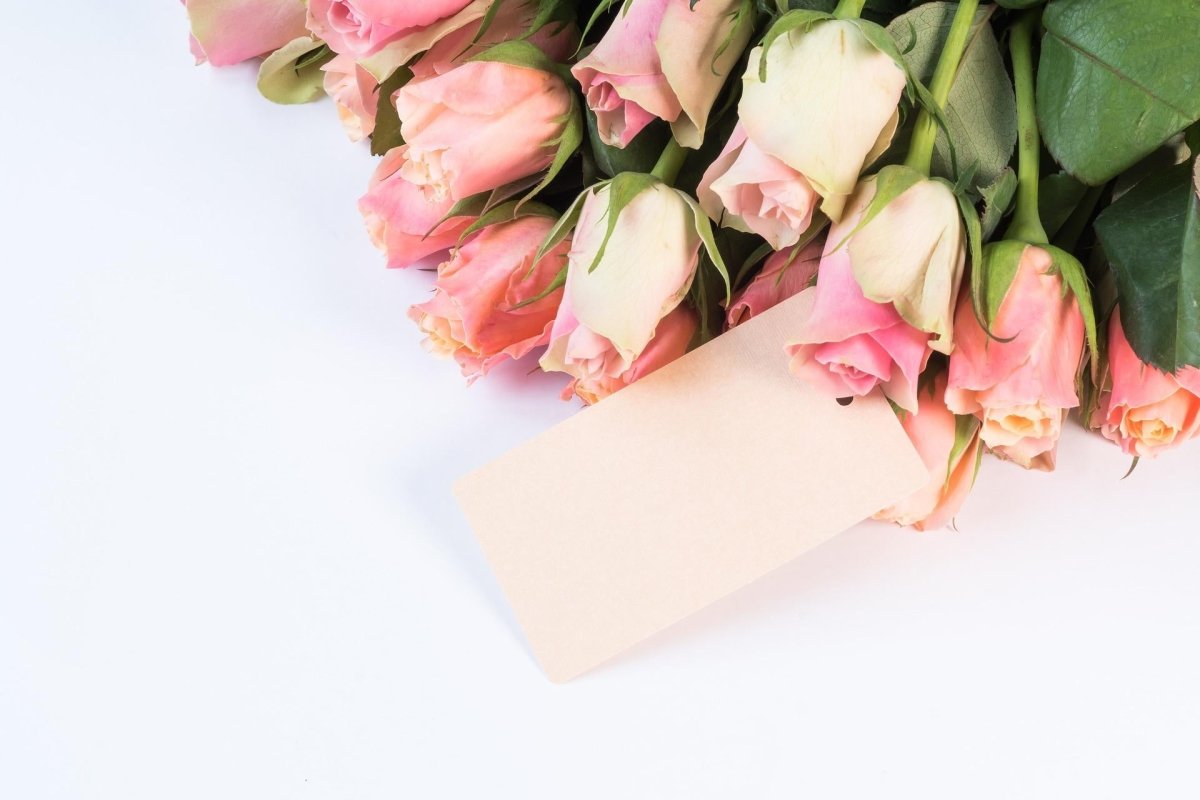 Rose &amp; Co Complete Range - ROSE &amp; CO
