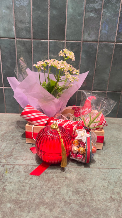 Christmas Plant Hamper