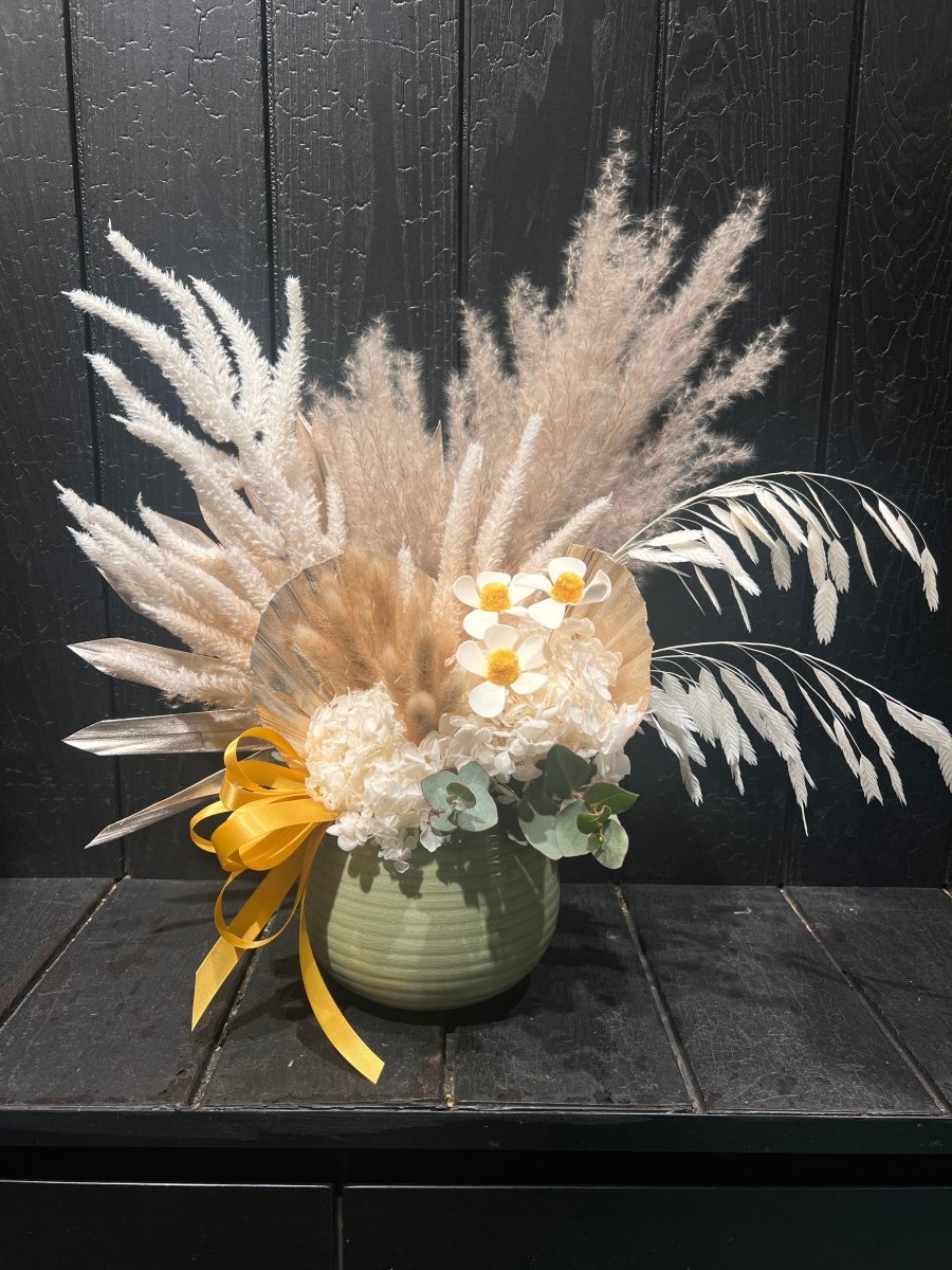 Here comes the sun preserved