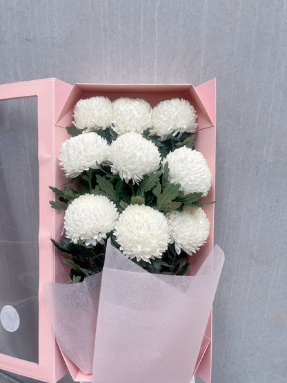 Mum Chrysanthemums in Presentation Box - ROSE &amp; CO