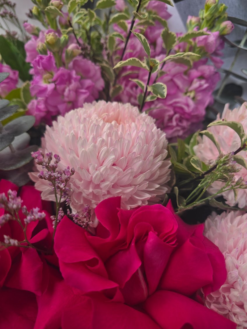 Pink Expression - ROSE &amp; CO