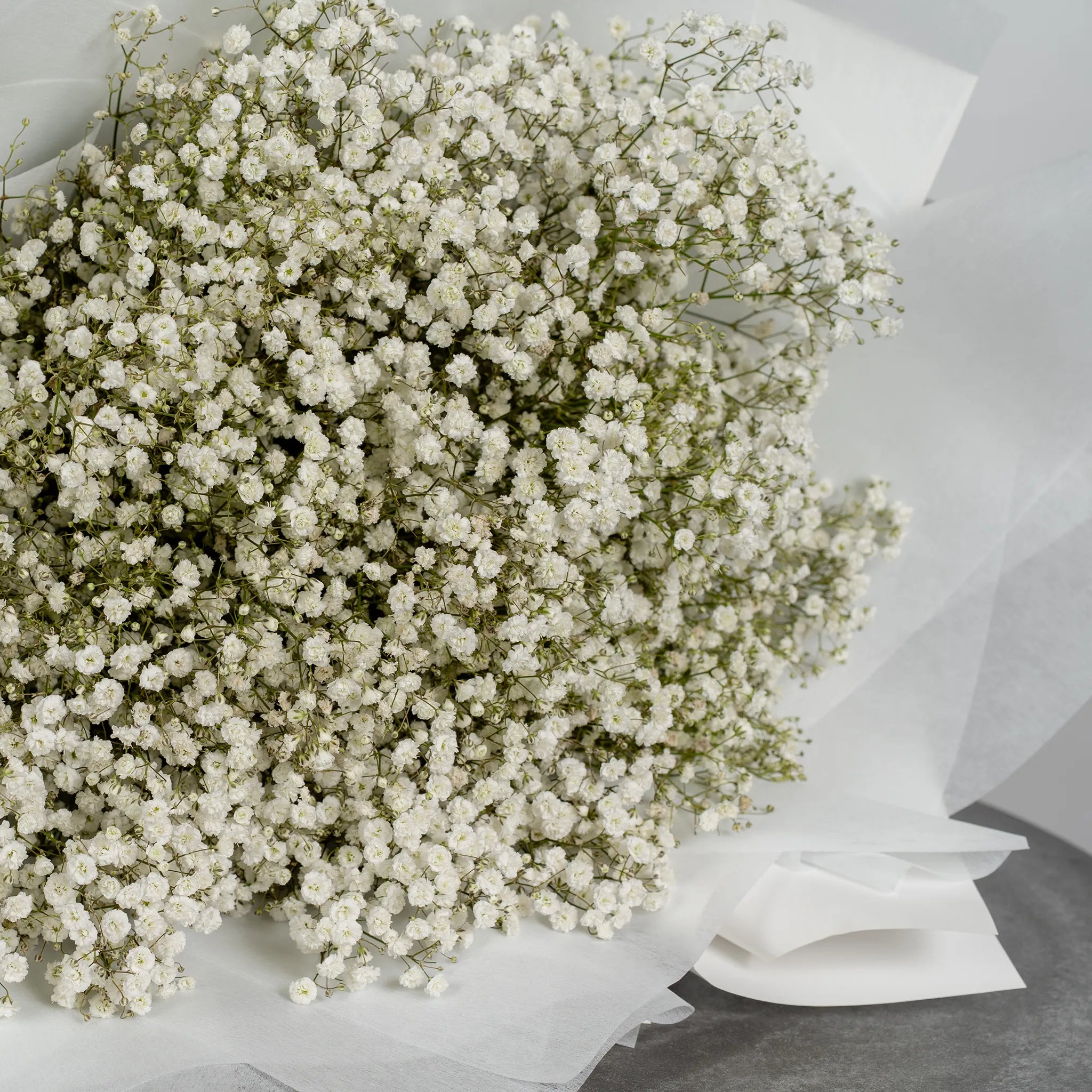 Purely Baby’s Breath