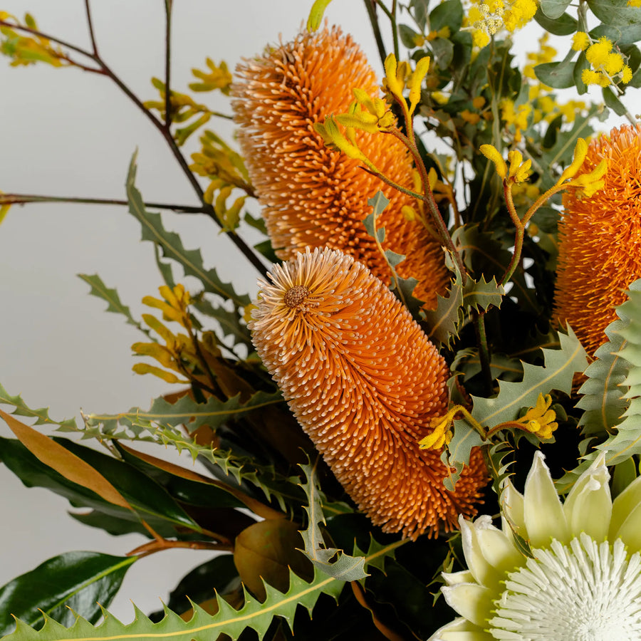 Botanical Beauty (Vase Included)