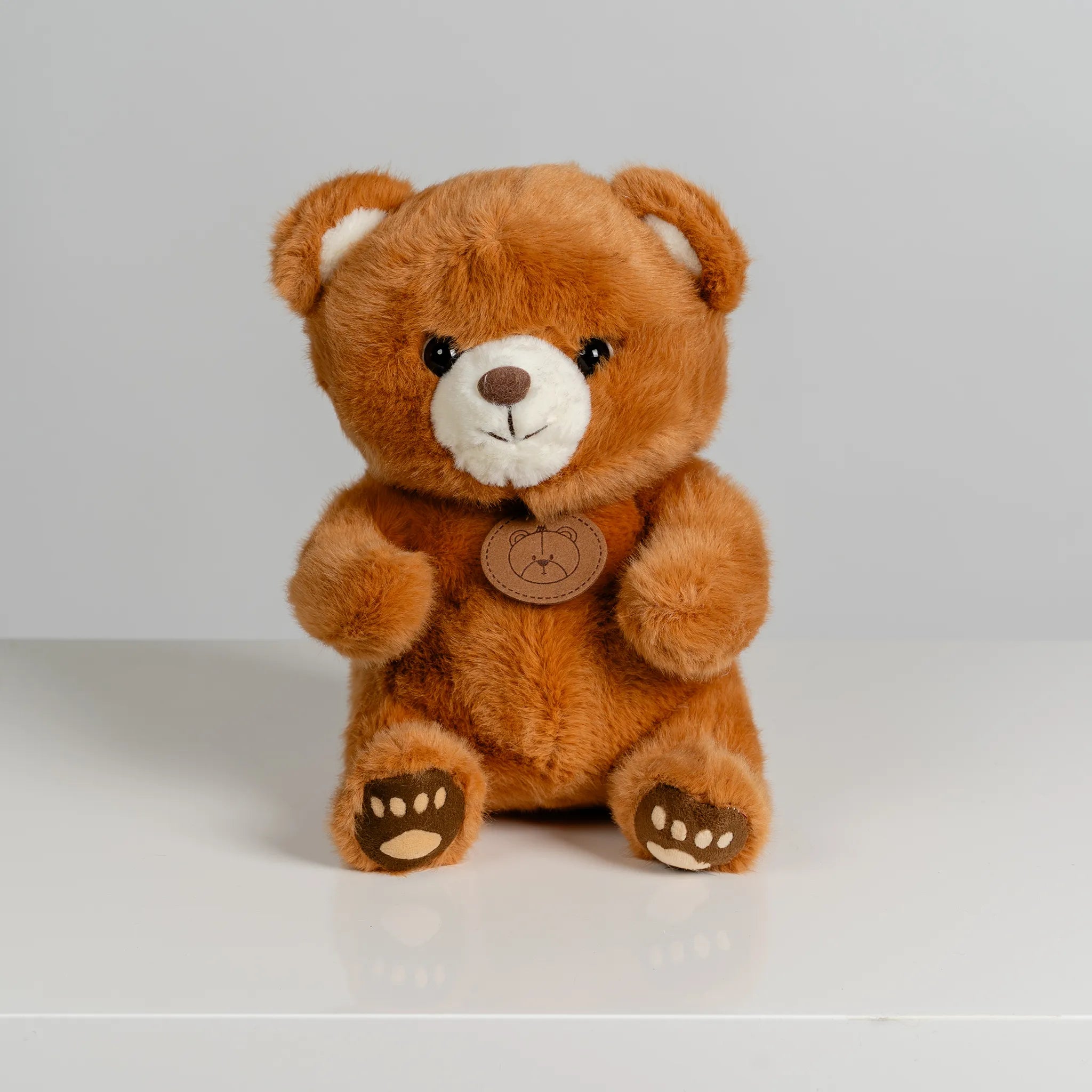 Brown Bear with Paw Prints 22cm