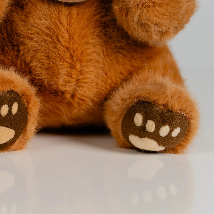 Brown Bear with Paw Prints 22cm