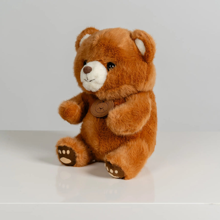 Brown Bear with Paw Prints 22cm