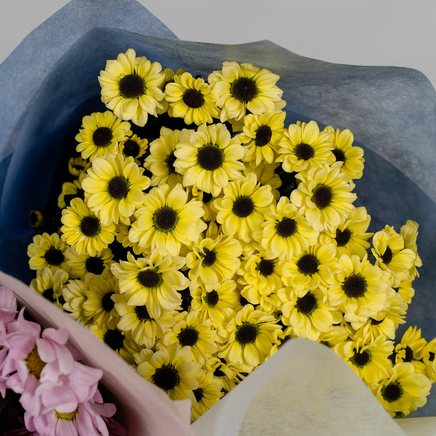 Timeless Daisy Chrysanthemums