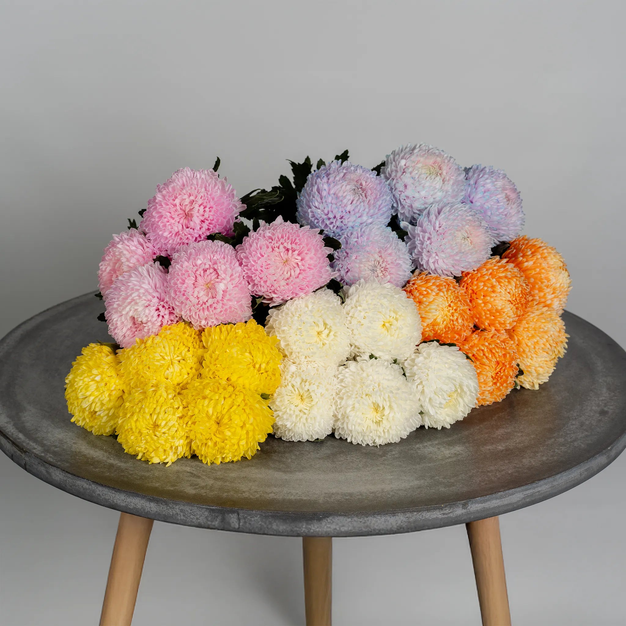 MUM Chrysanthemums