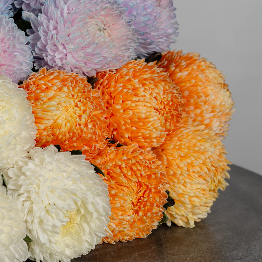 MUM Chrysanthemums