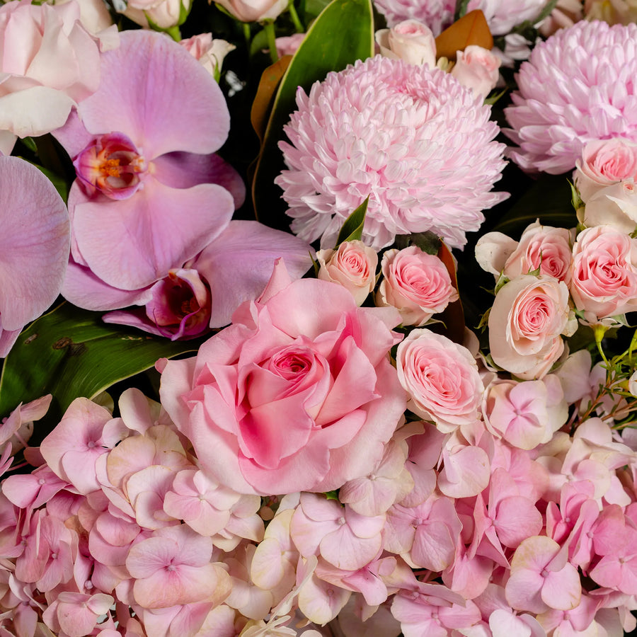 Blush & Bloom (Vase Included)
