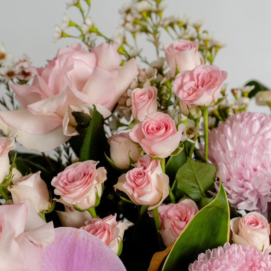 Blush & Bloom (Vase Included)