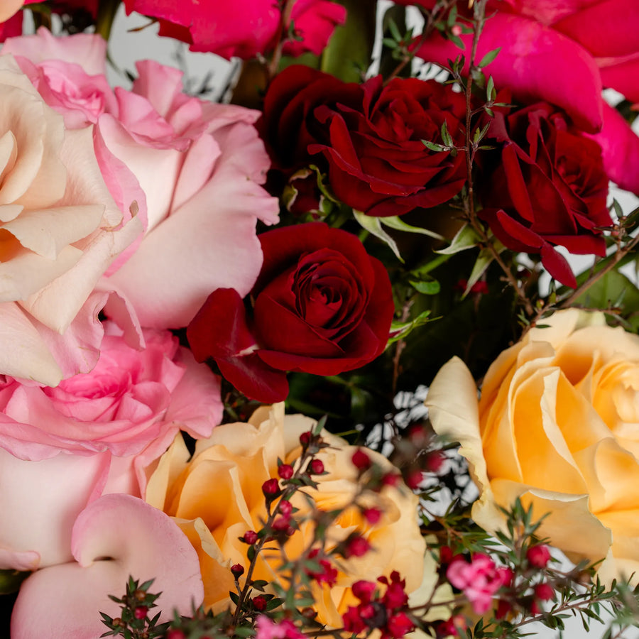 Love Burst (Vase Included)
