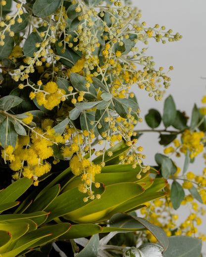 Bushland Elegance