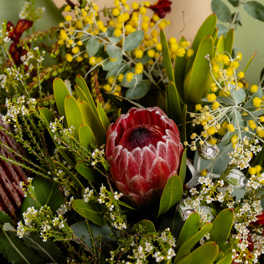 Explorers Blooms