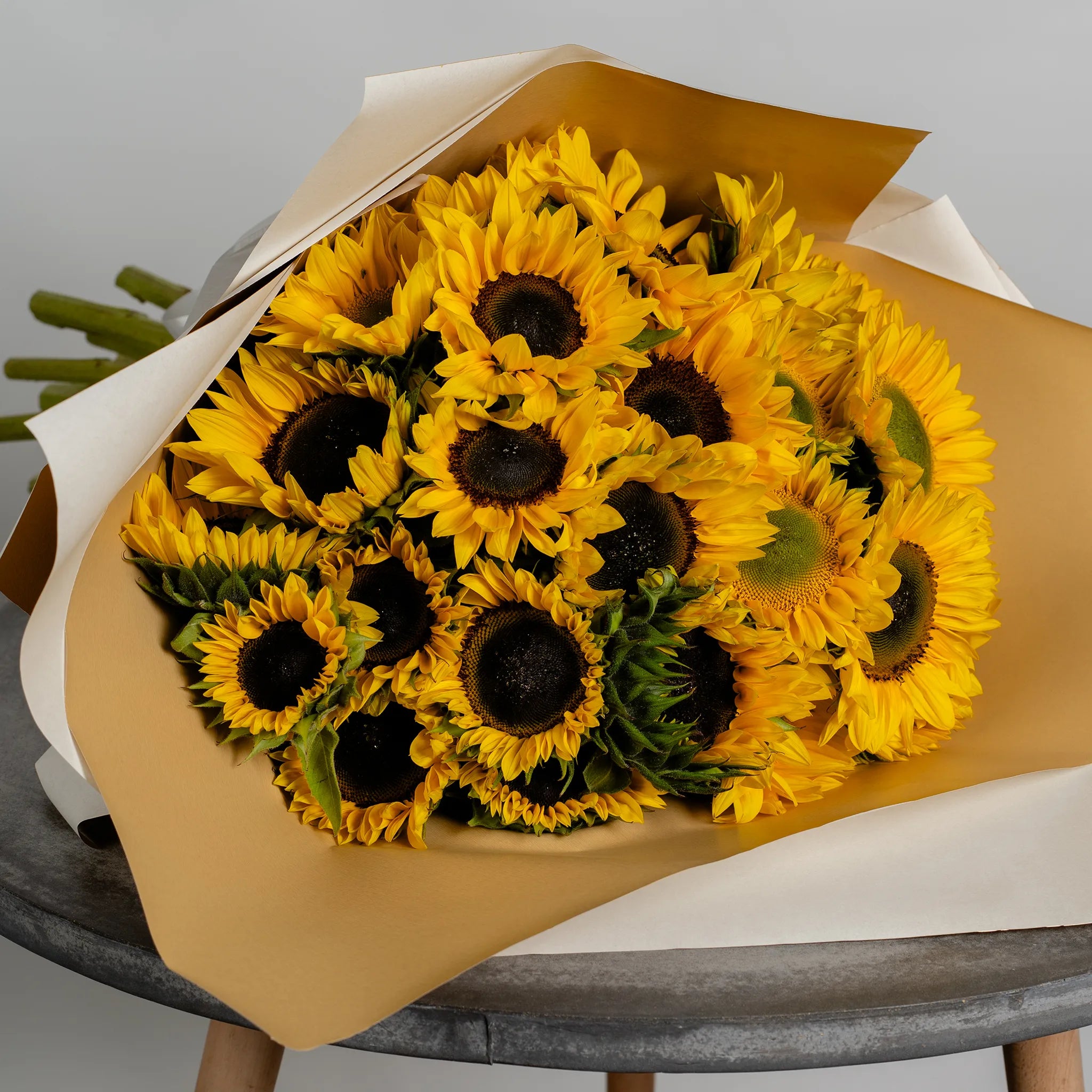 Snuggle with Sunflowers