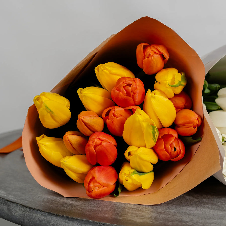 Tulip Mania