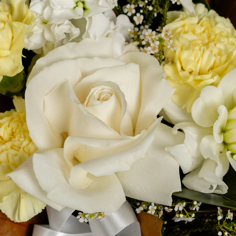 Buttercup Gift Pack