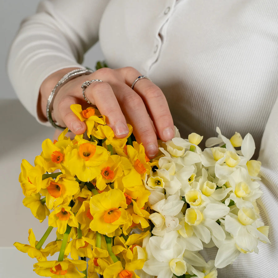 Jonquil's and Daffodil's