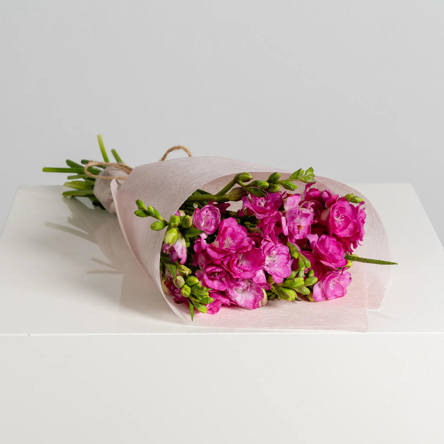 Freesia Affair