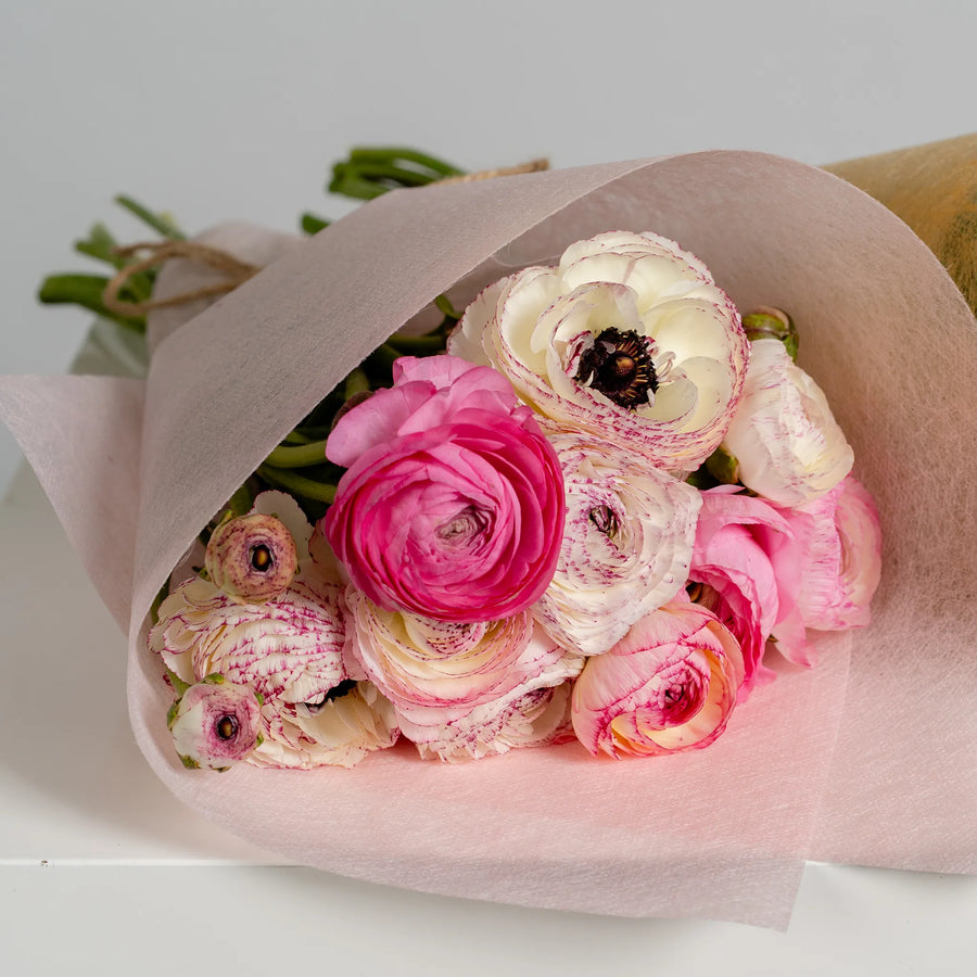 Ranunculus Reverie