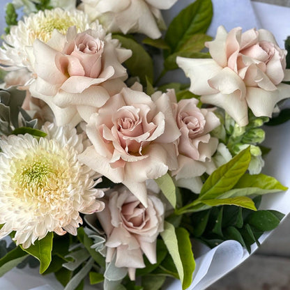 Latte - ROSE &amp; CO
