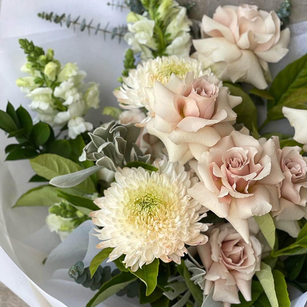 Latte - ROSE &amp; CO