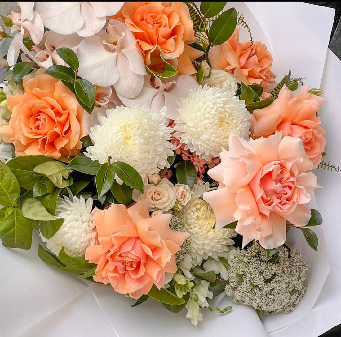 Peach Dream - ROSE &amp; CO